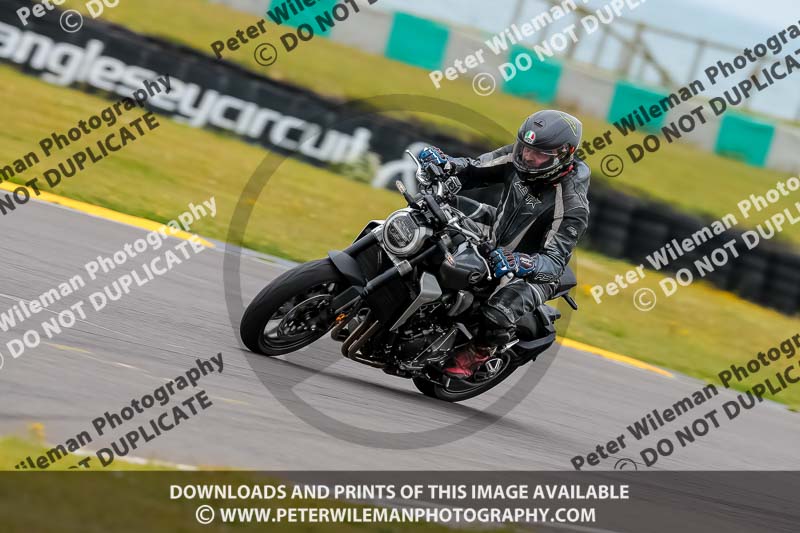 PJ Motorsport 2019;anglesey no limits trackday;anglesey photographs;anglesey trackday photographs;enduro digital images;event digital images;eventdigitalimages;no limits trackdays;peter wileman photography;racing digital images;trac mon;trackday digital images;trackday photos;ty croes